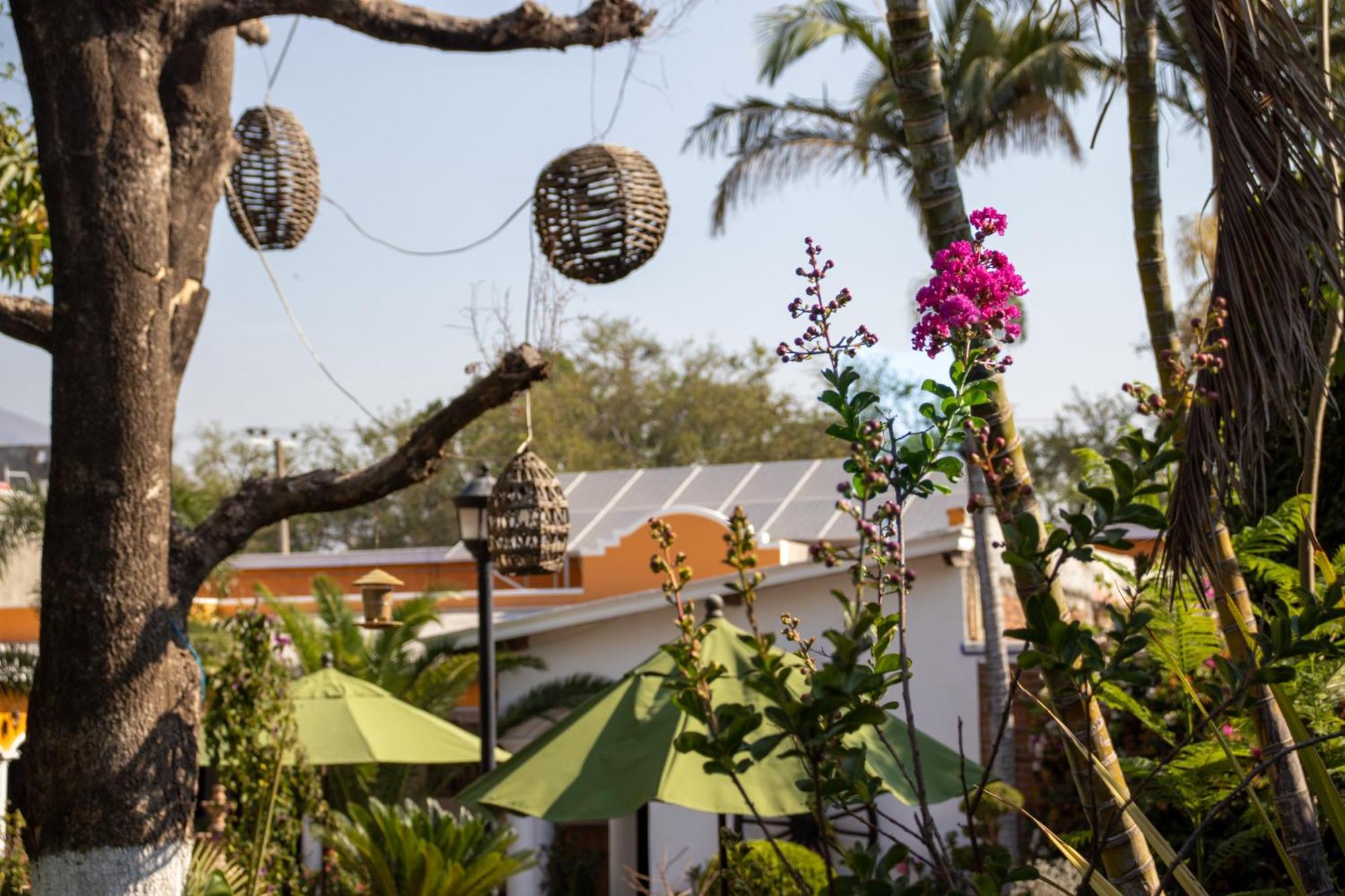 Hotel Quinta Valentina Ahuacatlán Exterior photo